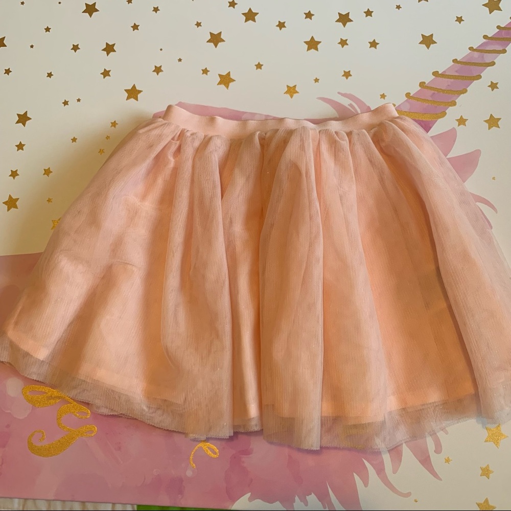 H&M- Glittery Tulle Skirt